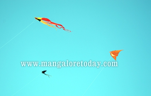 Panambur beach festival 2014